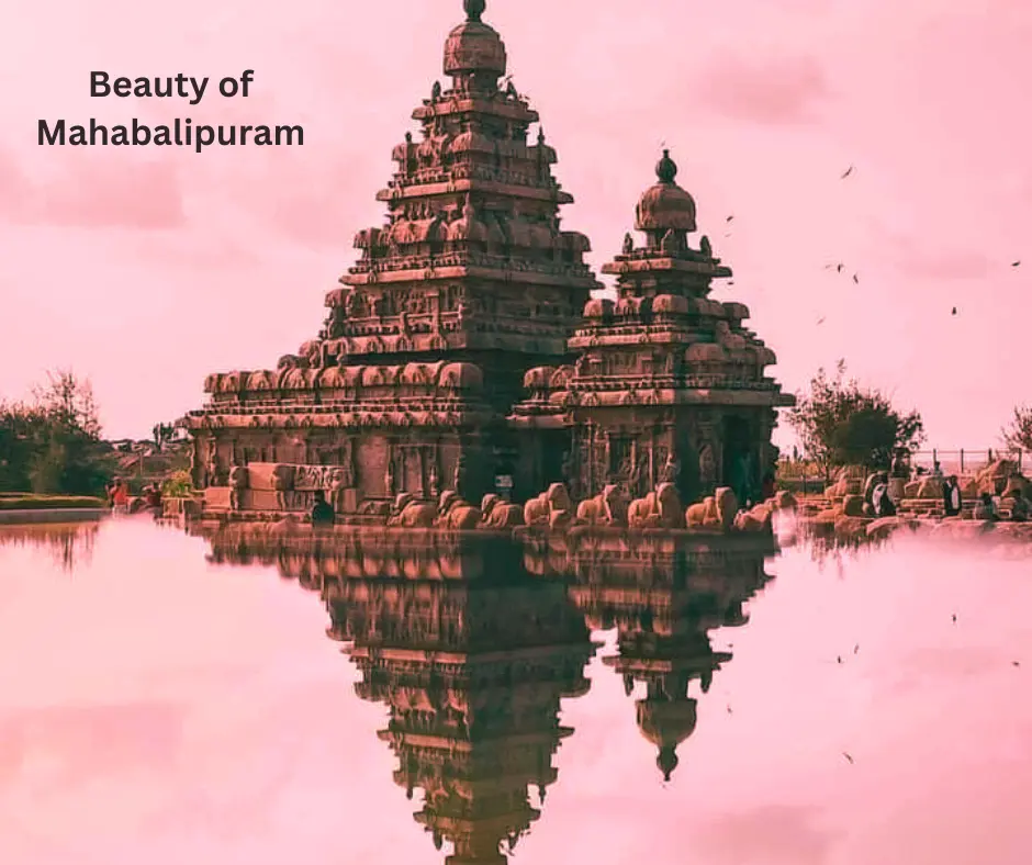 Mahabalipuram from chennai to mahabalipuram one day tour package