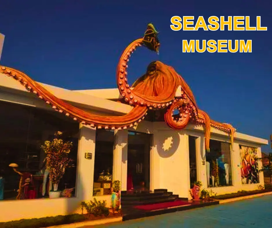 Sea Shell Museum in Mahabalipuram